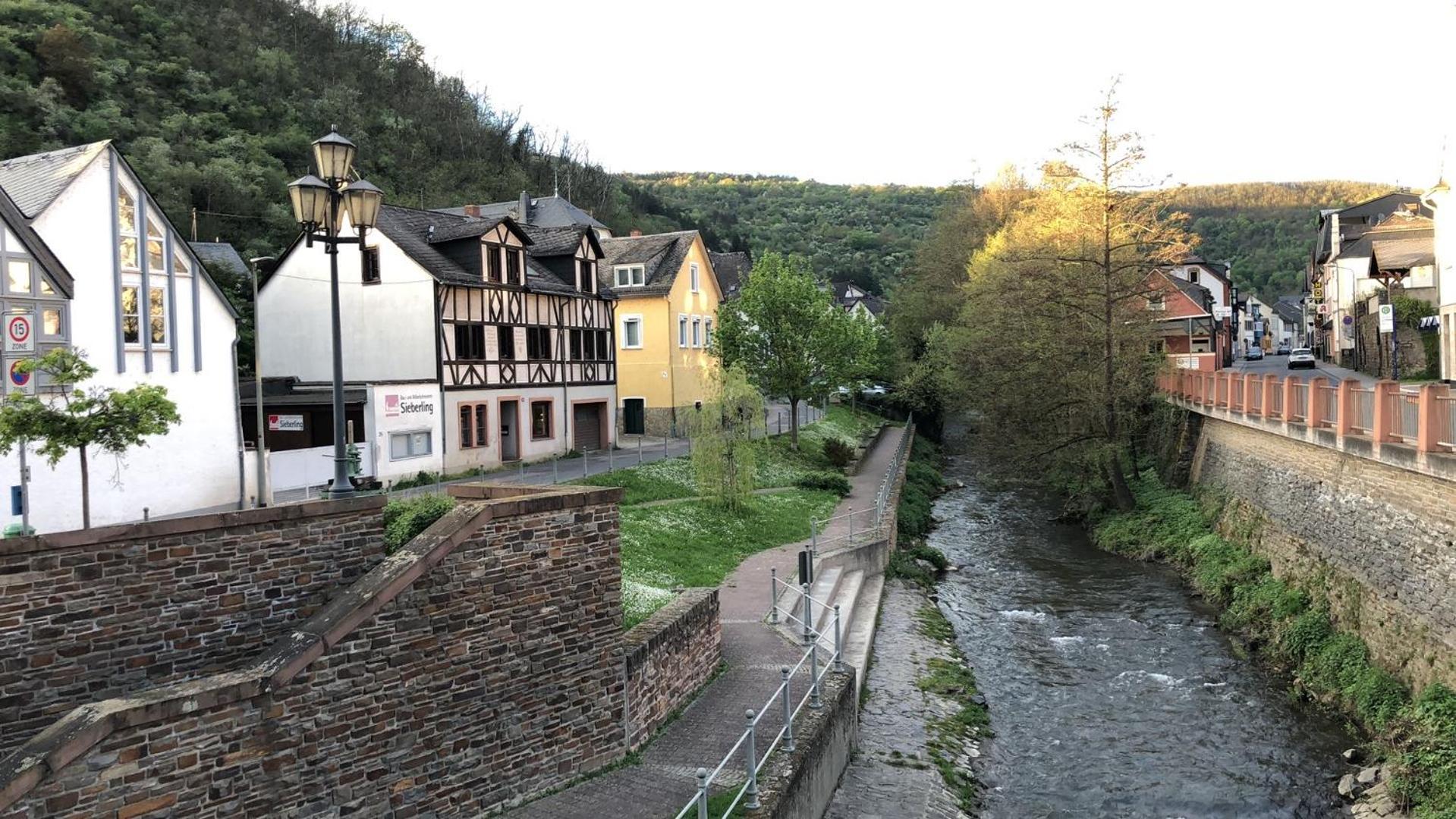 Rheinliebe Bistro Und Pension 莱茵河畔洛尔希 外观 照片