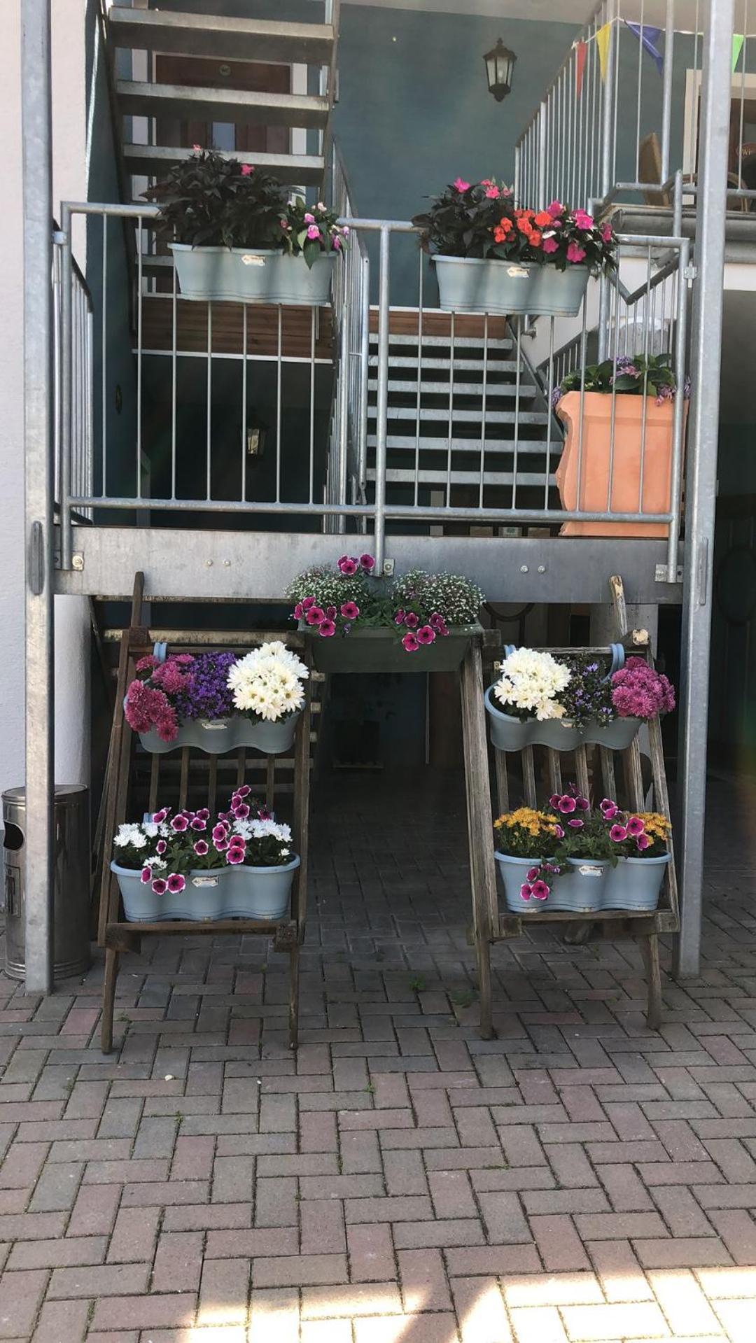 Rheinliebe Bistro Und Pension 莱茵河畔洛尔希 外观 照片